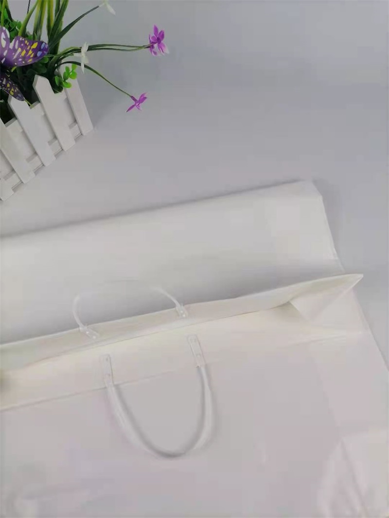 PO material hand bag(图4)